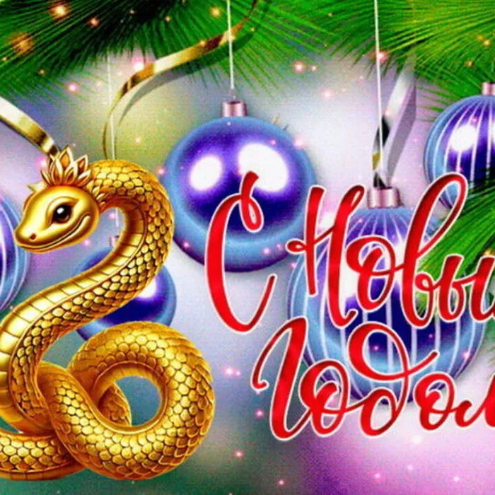 С Новым 2025 годом!